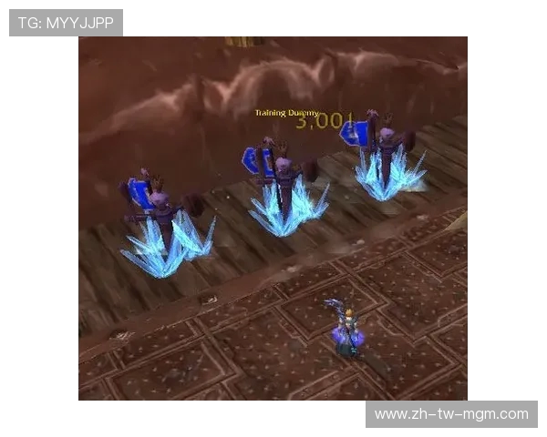 法师操控四大元素击败骷髅军团保卫魔法王国的冒险之旅